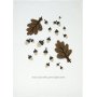 Eichel-Kchentuch 50 x 70 cm - Dunkles Nougat
