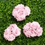 Rosen - Groß - Hellrosa - 5er-Pack Rosen - Groß - Hellrosa - 5er-Pack