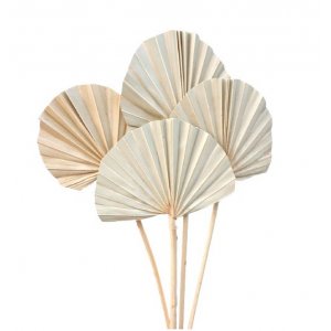 Palmblätter - 50 cm - 10er-Pack Palmblätter - 50 cm - 10er-Pack