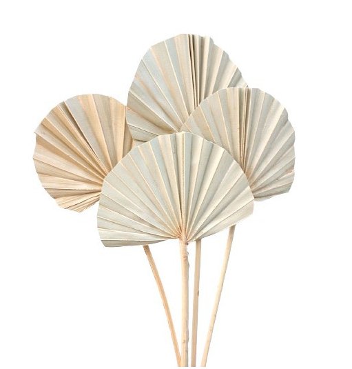 Palmblätter - 50 cm - 10er-Pack Palmblätter - 50 cm - 10er-Pack