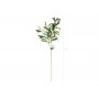 Olivenzweig - 91 cm Olivenzweig - 91 cm