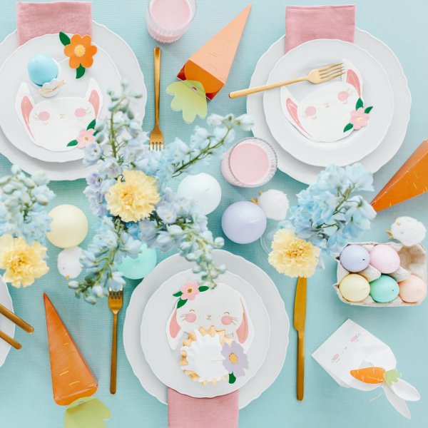 Box - 6er-Pack - Karotte