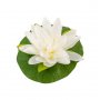 Weißer Lotus - 22 cm Weißer Lotus - 22 cm