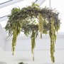 Kronleuchter - 3er-Pack - Botanische Hochzeit