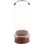 Mini-Glasflasche mit Korken Mini-Glasflasche mit Korken
