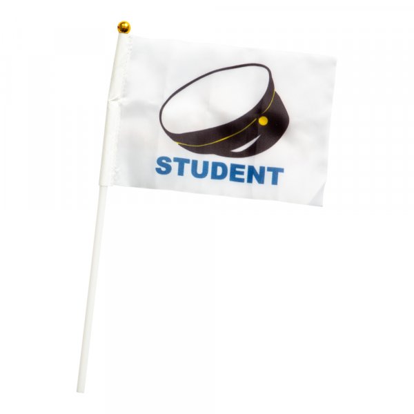 Handfahnen - Schüler - 6er-Pack Handfahnen - Schüler - 6er-Pack