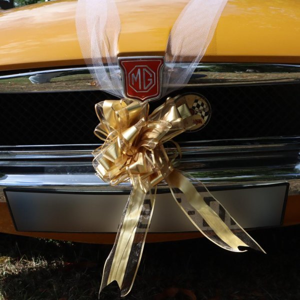Hochzeitsauto-Dekoration - Gold - 6 Stück Hochzeitsauto-Dekoration - Gold - 6 Stück