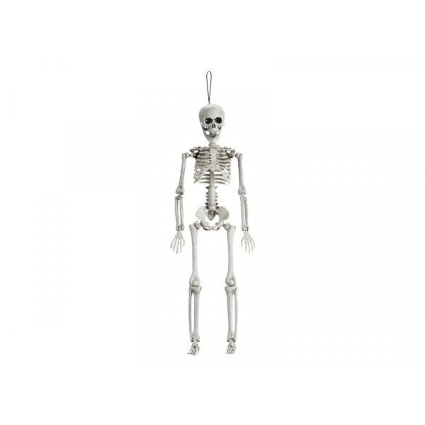 Skelett - 40 cm