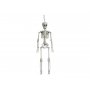 Skelett - 40 cm