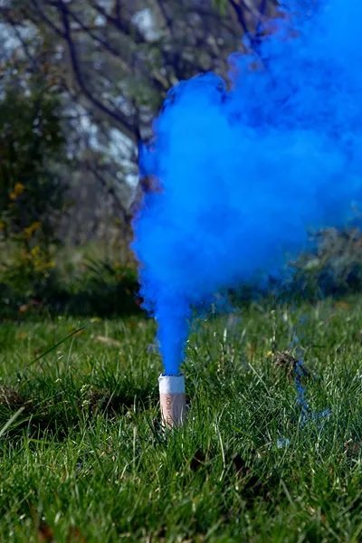 Pulverkanone - Geschlechtsenthüllung - Blau Pulverkanone - Geschlechtsenthüllung - Blau