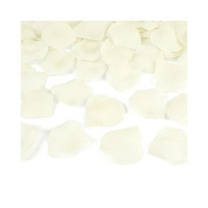 Konfettikanone Rosenblätter Creme Konfettikanone Rosenblätter Creme