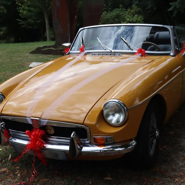 Autodekoration für Hochzeiten - Rot - 6 Stück Autodekoration für Hochzeiten - Rot - 6 Stück