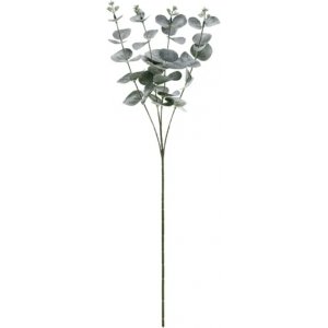 Eukalyptuszweig - 60 cm
