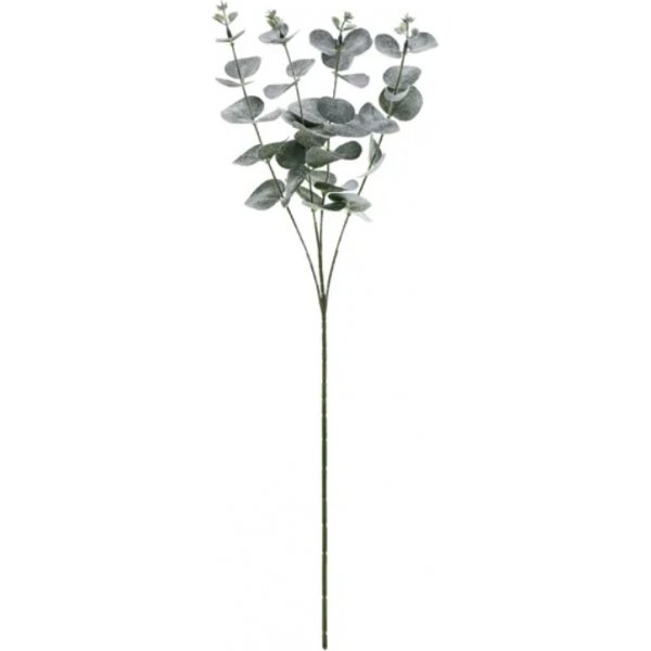 Eukalyptuszweig - 60 cm Eukalyptuszweig - 60 cm