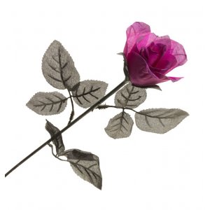 Dekoration - Halloween - Rosa/lila Rose - 65 cm KOPIE Dekoration - Halloween - Rosa/lila Rose - 65 cm KOPIE