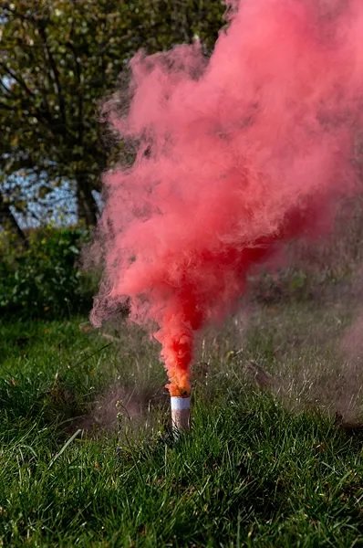 Pulverkanone - Gender Reveal - Rosa - 5er-Pack
