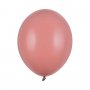 Pastellballons - Premium 27 cm - Wild Rose - 10er-Pack