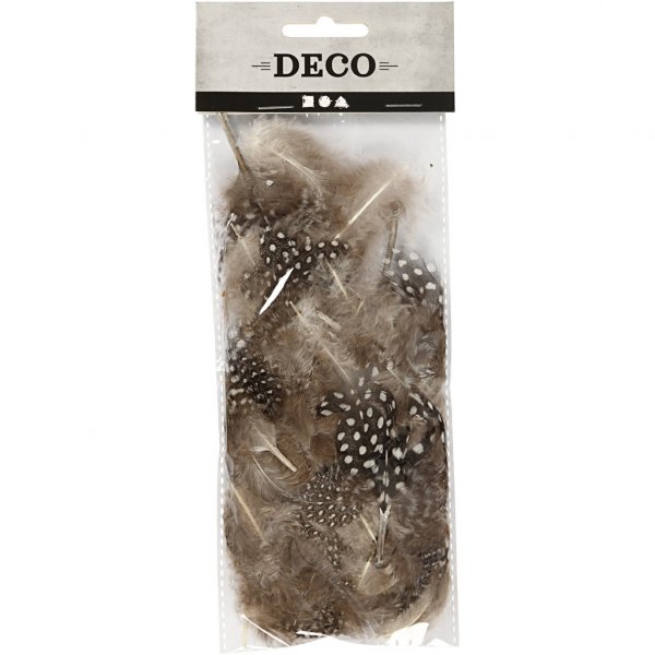 Federn - 100er-Pack - Braun Federn - 100er-Pack - Braun