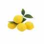 Zitronen - Künstliche Pflanze - 4er-Pack Zitronen - Künstliche Pflanze - 4er-Pack