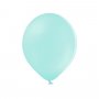 Pastellballons - Premium 27 cm - Mint - 100er-Pack