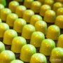Pralinenform-Kuppel - CW2116 - Chocolate World Pralinenform-Kuppel - CW2116 - Chocolate World