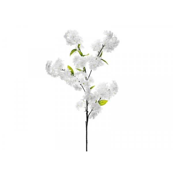 Kirschblüte - 97 cm Kirschblüte - 97 cm
