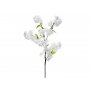 Kirschblüte - 97 cm Kirschblüte - 97 cm