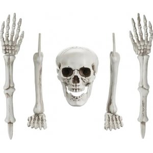 Skelettteile - Halloween-Dekoration Skelettteile - Halloween-Dekoration