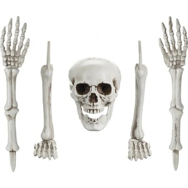 Skelettteile - Halloween-Dekoration Skelettteile - Halloween-Dekoration