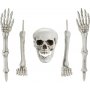 Skelettteile - Halloween-Dekoration Skelettteile - Halloween-Dekoration
