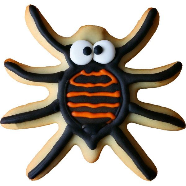 Lebkuchenmann-Spinne, 7,5 cm Lebkuchenmann-Spinne, 7,5 cm