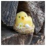 Kleine Küken im Nest - 3er-Pack Kleine Küken im Nest - 3er-Pack