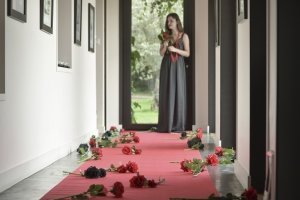 Roter Teppich - 15 x 1 m Roter Teppich - 15 x 1 m