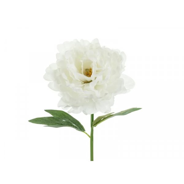 Pfingstrosenblüte - 35 cm - Weiß Pfingstrosenblüte - 35 cm - Weiß