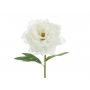 Pfingstrosenblüte - 35 cm - Weiß Pfingstrosenblüte - 35 cm - Weiß