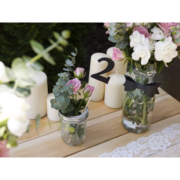 Picks - Schwarz - 1-10