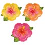 Pappteller - Aloha - 22 cm - 6er-Pack Pappteller - Aloha - 22 cm - 6er-Pack
