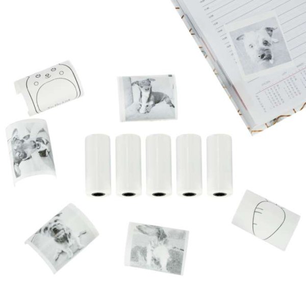 Selbstklebende Thermopapierrollen 5,7 cm x 4,5 m, 5er-Pack - Mini-Drucker Selbstklebende Thermopapierrollen 5,7 cm x 4,5 m, 5er-Pack - Mini-Drucker