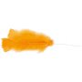 Daunen - gemischte Farben - L: 11-17 cm - 18x3 Stk