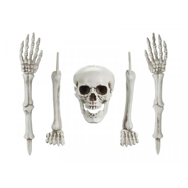 Skelettteile - Halloween-Dekoration