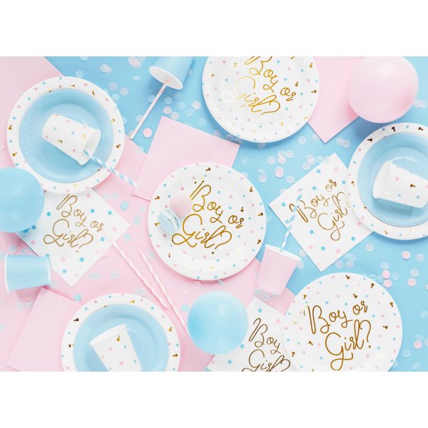 Pappteller - Junge oder Mädchen? - 6 Pack Pappteller - Junge oder Mädchen? - 6 Pack