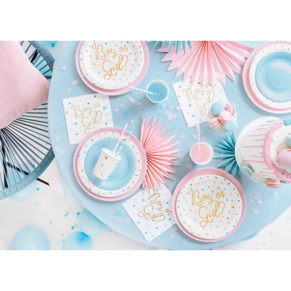 Pappteller - Junge oder Mädchen? - 6 Pack Pappteller - Junge oder Mädchen? - 6 Pack