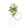 Serviettenringe - Blumen - 6 cm Serviettenringe - Blumen - 6 cm