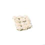 Papierrosen - Weiß - 12er-Packung Papierrosen - Weiß - 12er-Packung