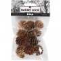 Lärchenzapfen - 12er-Pack