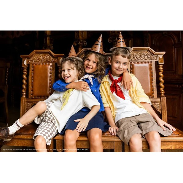 Partyhüte - Harry Potter - 6er-Pack Partyhüte - Harry Potter - 6er-Pack