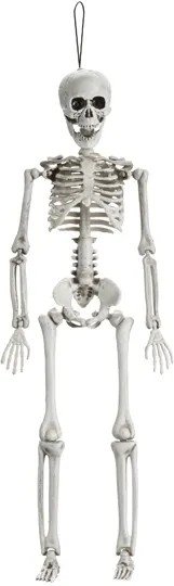 Skelett - 40 cm Skelett - 40 cm