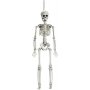 Skelett - 40 cm Skelett - 40 cm