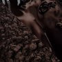 Schwarzer Kakao - Botanical Noir Intense - 45 g - Callebaut Schwarzer Kakao - Botanical Noir Intense - 45 g - Callebaut