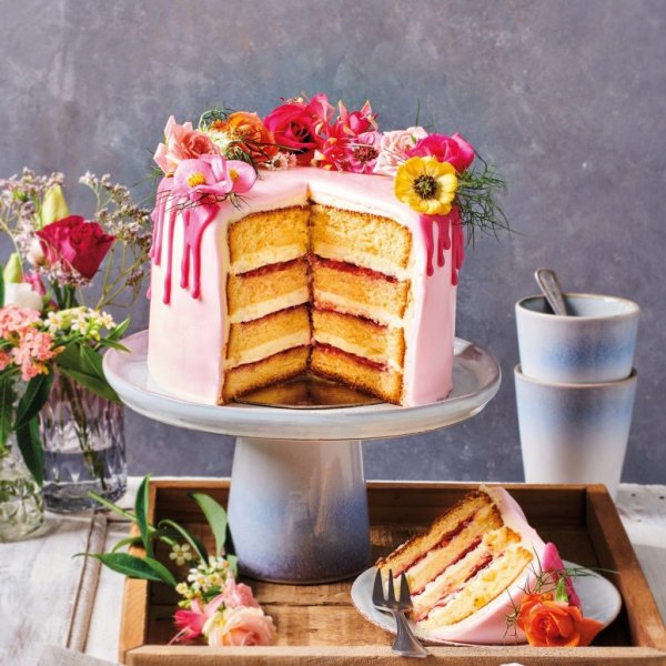 Backmischung - 500 g - Biskuitkuchen